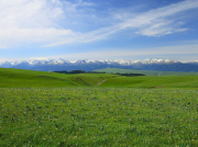 南方清水泵到底有沒有吸程？