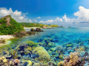 什么是化工泵？